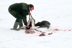 Killikus&reg; Fotographie